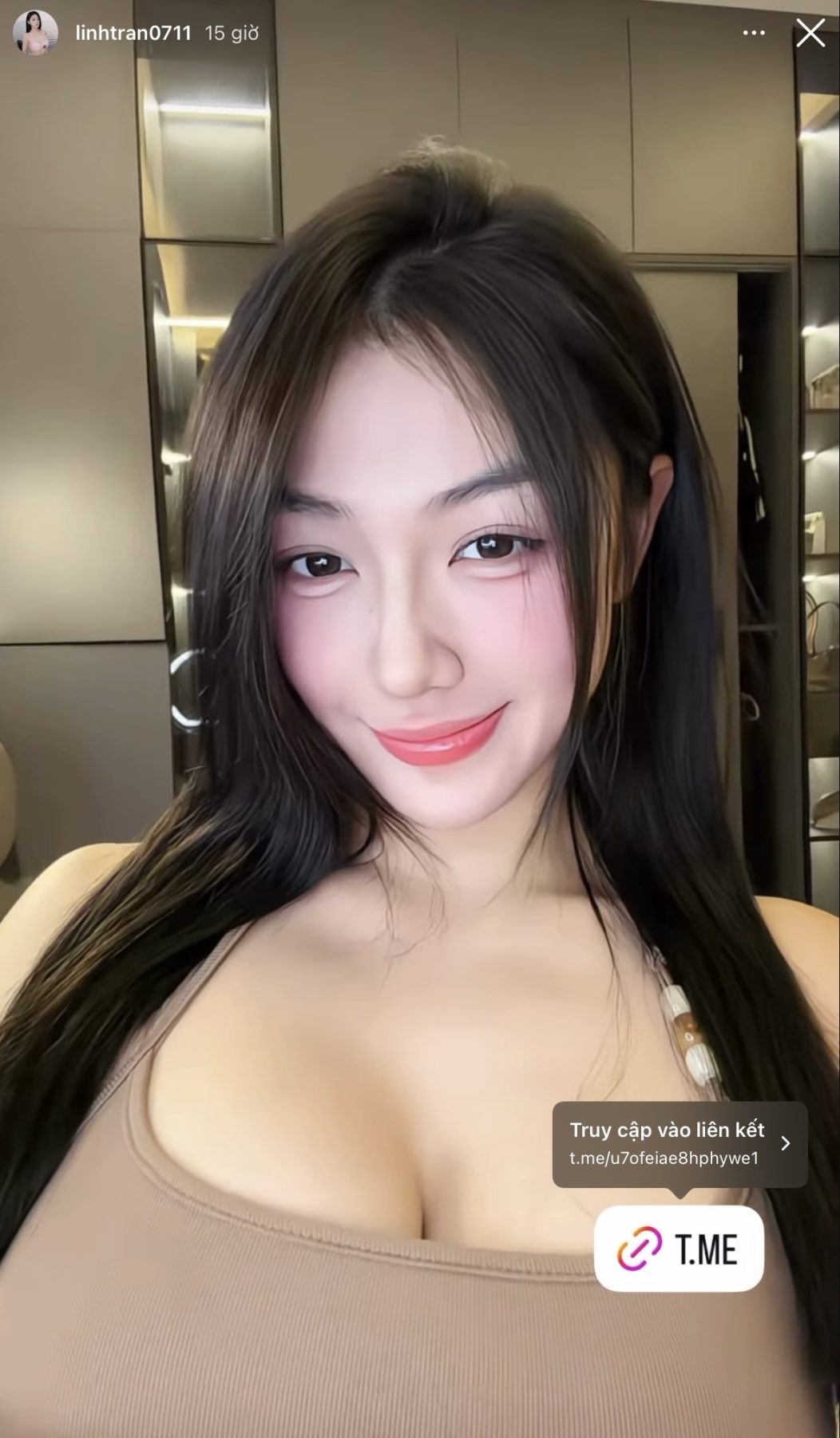 Story Instagram Trần Hà Linh gắn link Telegram nhóm 18+