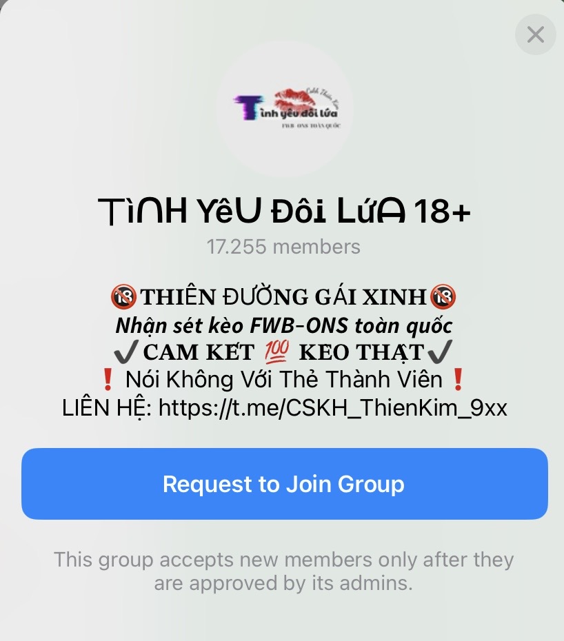 Nhóm Telegram tình yêu đôi lứa 18+ lừa đảo dưới hình ảnh hot girl Trần Hà Linh