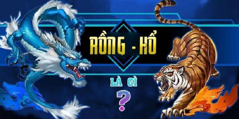 Bí Quyết Chinh Phục Rồng Hổ - Chiến Lược Từ Tư Duy Đến Hành Động