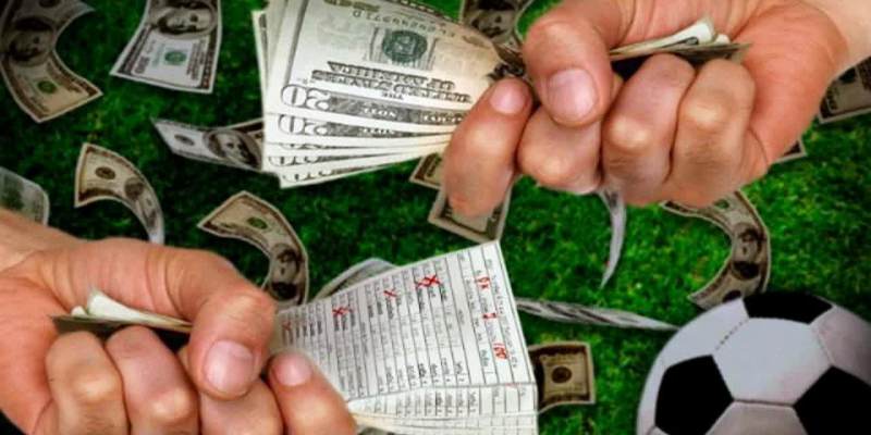 Kinh nghiệm cược và phân tích dữ liệu cho hội viên