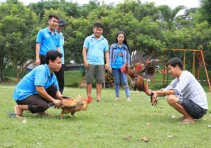 So Sánh Thomohomnay & Các Kênh Khác Tips Xem Trực Tuyến 2026