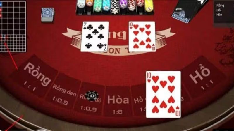 Các cửa rồng hổ được bố trí rõ ràng dễ quan sát