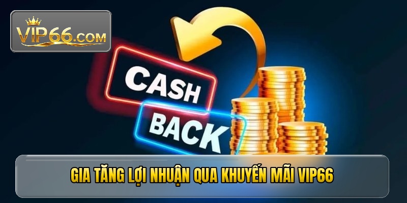Gia tăng lợi nhuận qua khuyến mãi VIP66