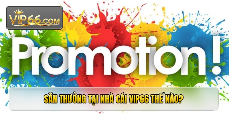 Săn thưởng tại nhà cái VIP66 thế nào?