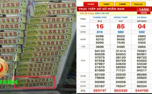 Giải Mã Kết Quả Xổ Số Cách Đọc Và Dò Chính Xác