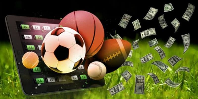 Những trận đại chiến thu hút sự chú ý người hâm mộ