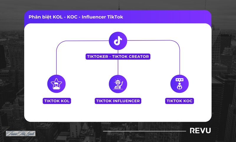 KOC TikTok là gì - KOC khác KOL như thế nào KOC TikTok là gì - KOC khác KOL như thế nào
