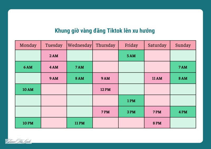 Thuật toán TikTok hoạt động thế nào - Thuật toán TikTok hoạt động thế nào: bức tranh tổng quan Thuật toán TikTok hoạt động thế nào - Thuật toán TikTok hoạt động thế nào: bức tranh tổng quan
